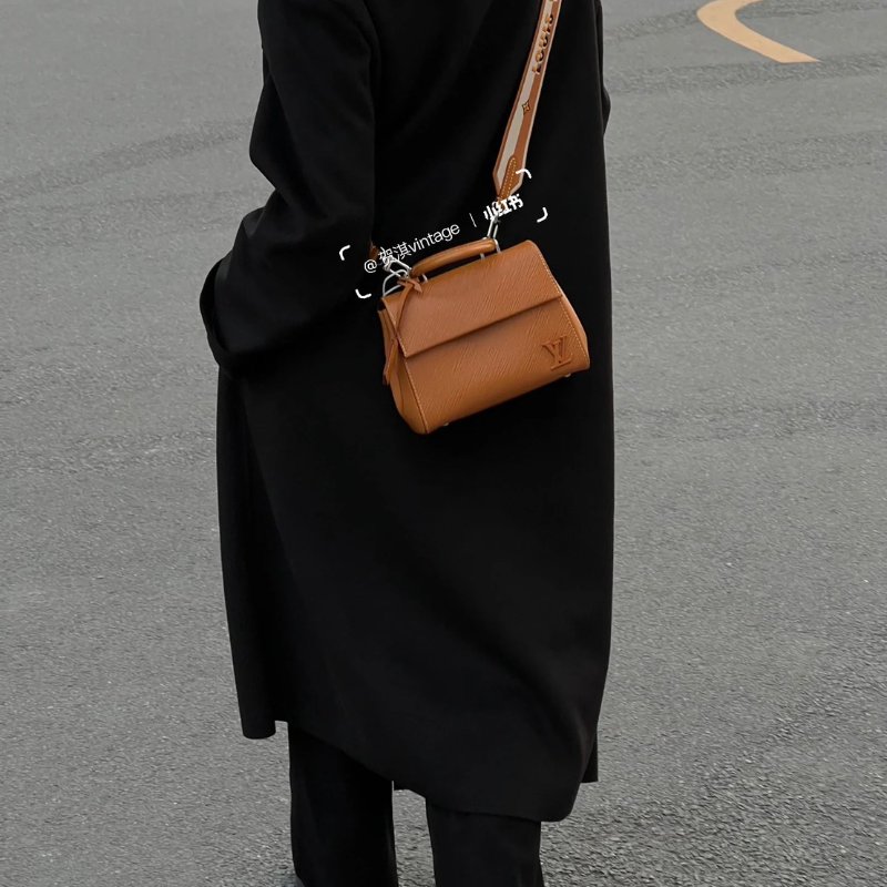 LOUIS VUITTON Cluny Mini - 棕-12