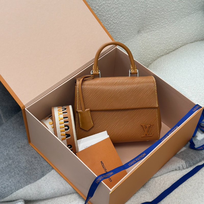 LOUIS VUITTON Cluny Mini - 棕-6