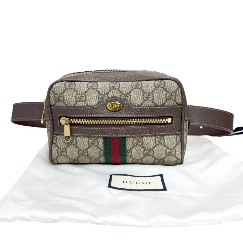 Gucci Ophidia 腰包 心口包-0