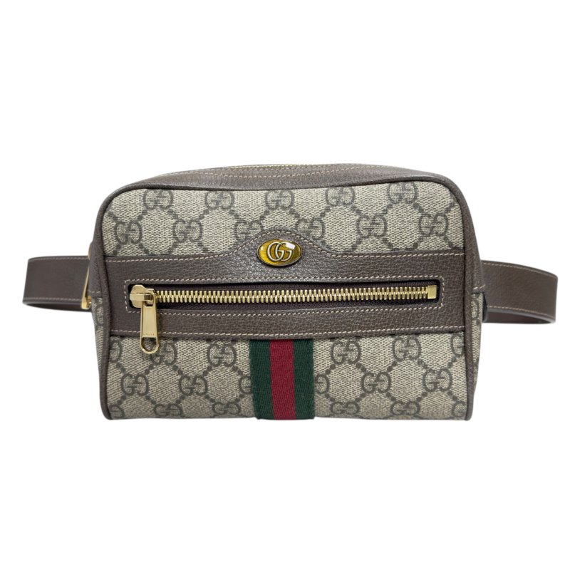 Gucci Ophidia 腰包 心口包-1