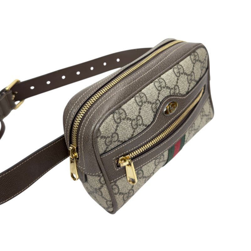 Gucci Ophidia 腰包 心口包-2
