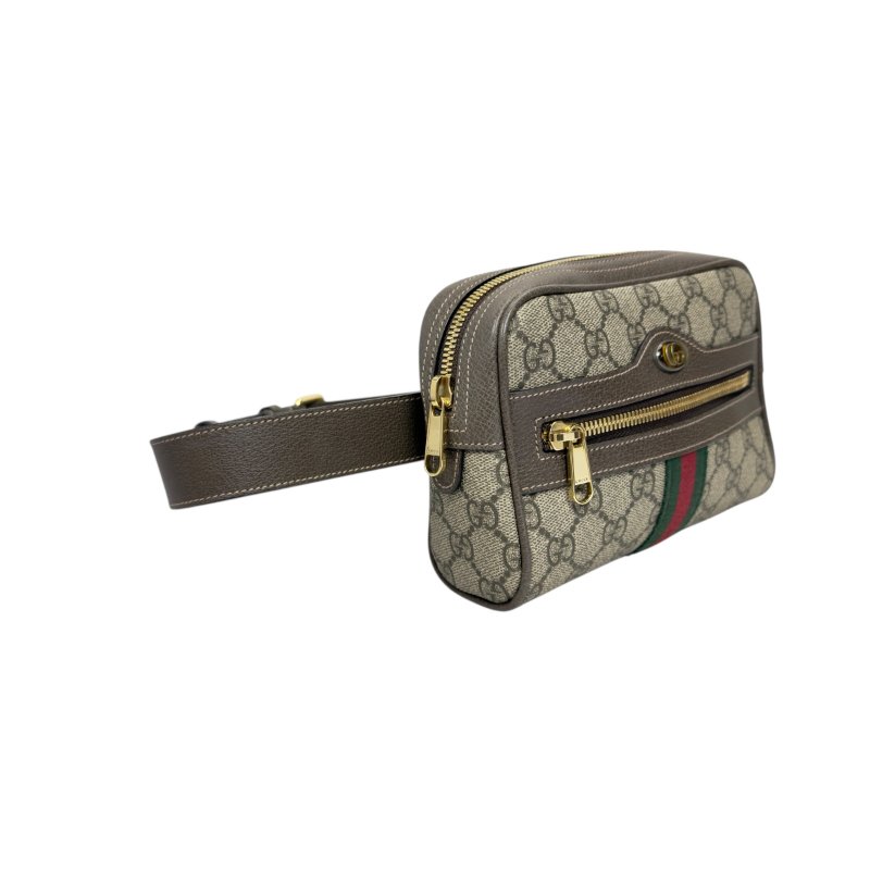 Gucci Ophidia 腰包 心口包-4