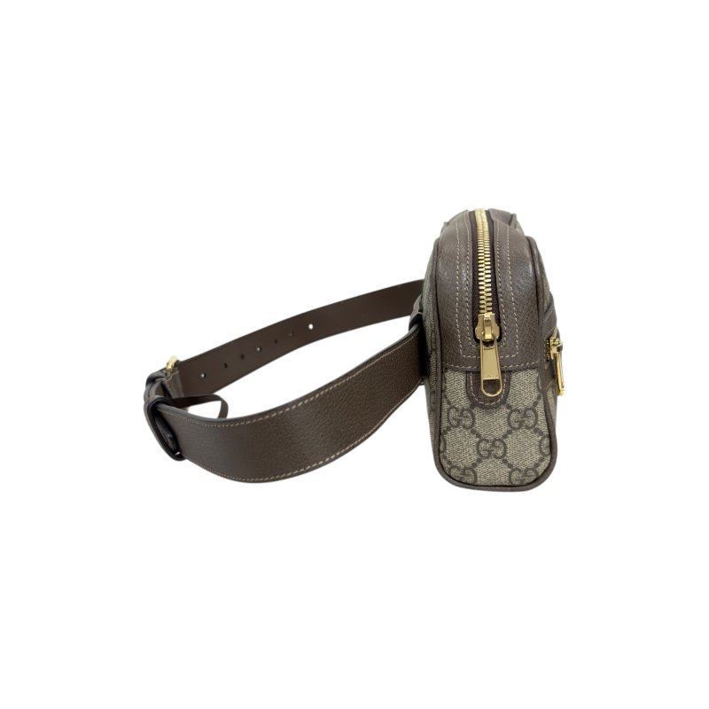 Gucci Ophidia 腰包 心口包-5