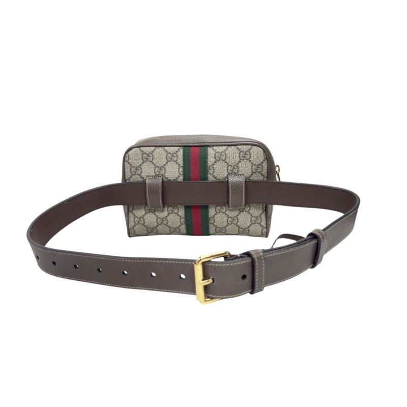 Gucci Ophidia 腰包 心口包-6