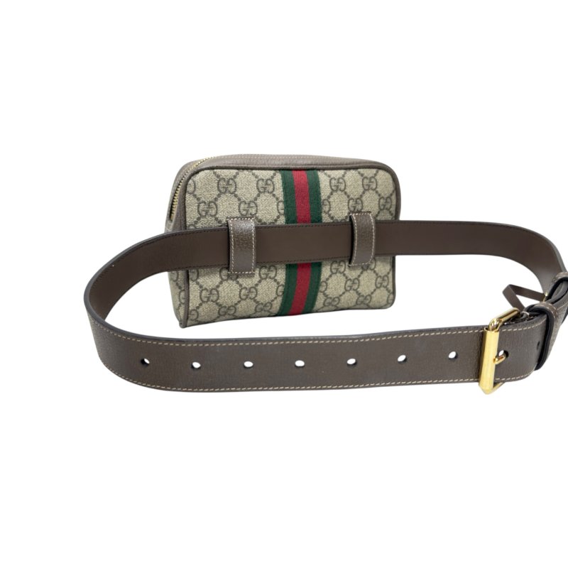Gucci Ophidia 腰包 心口包-7