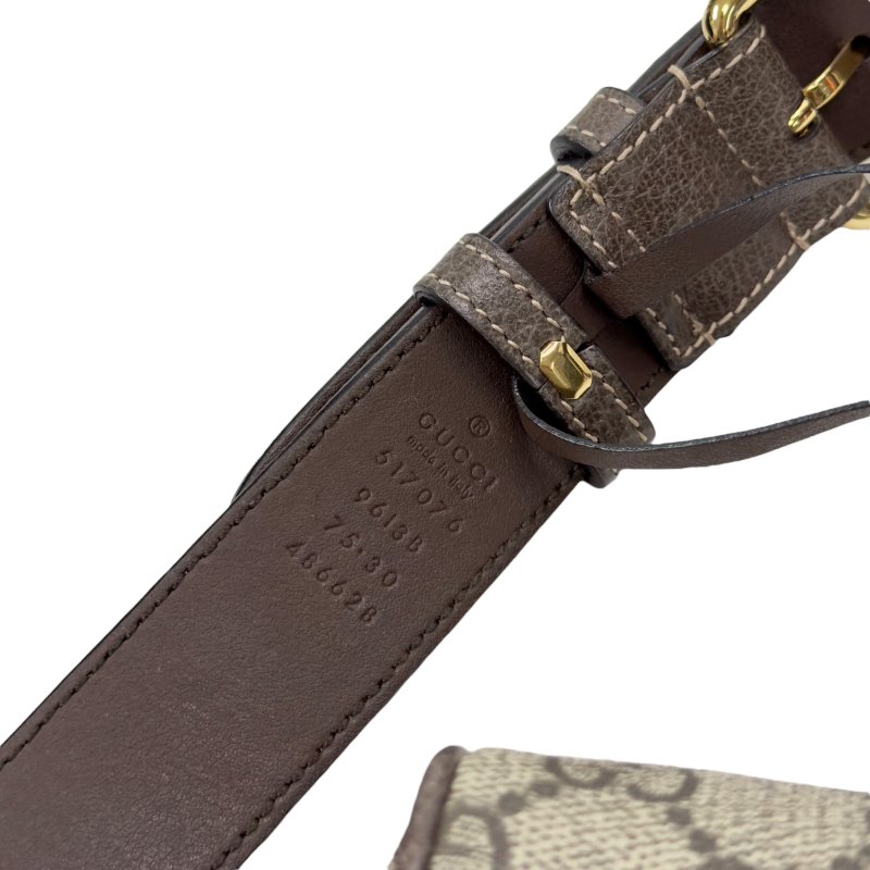 Gucci Ophidia 腰包 心口包-8