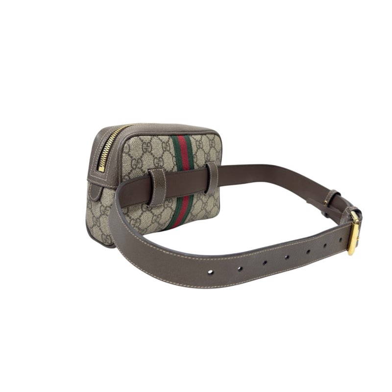 Gucci Ophidia 腰包 心口包-9