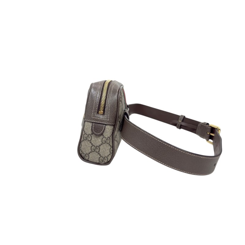 Gucci Ophidia 腰包 心口包-10