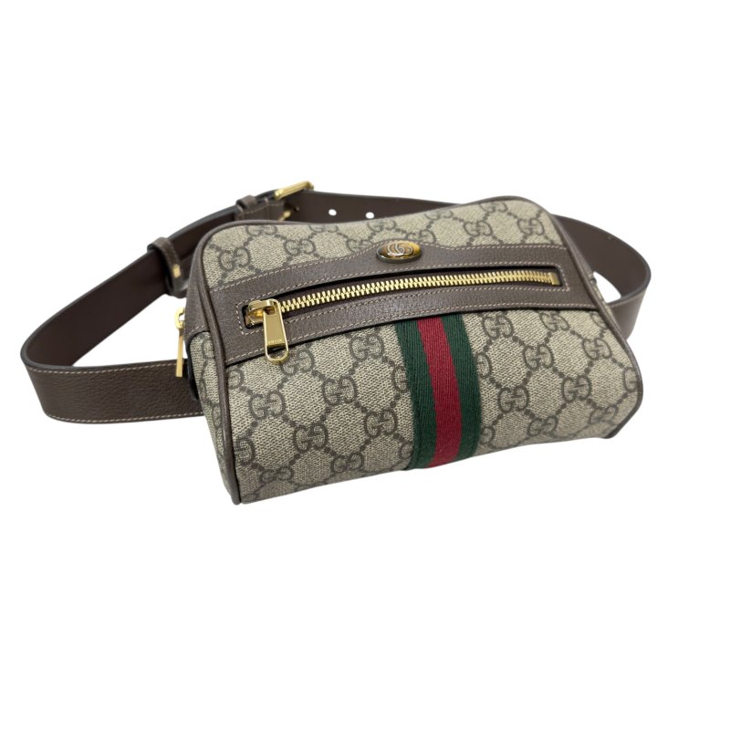 Gucci Ophidia 腰包 心口包-11