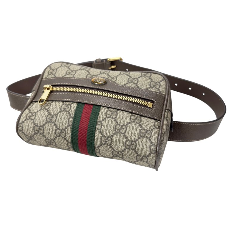 Gucci Ophidia 腰包 心口包-12
