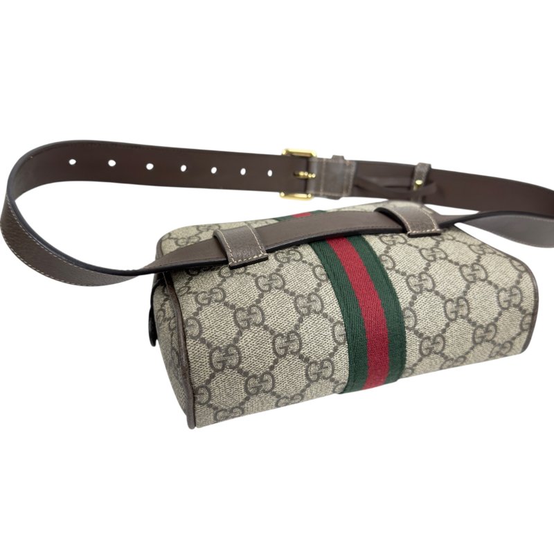 Gucci Ophidia 腰包 心口包-13