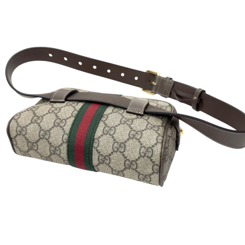 Gucci Ophidia 腰包 心口包-14