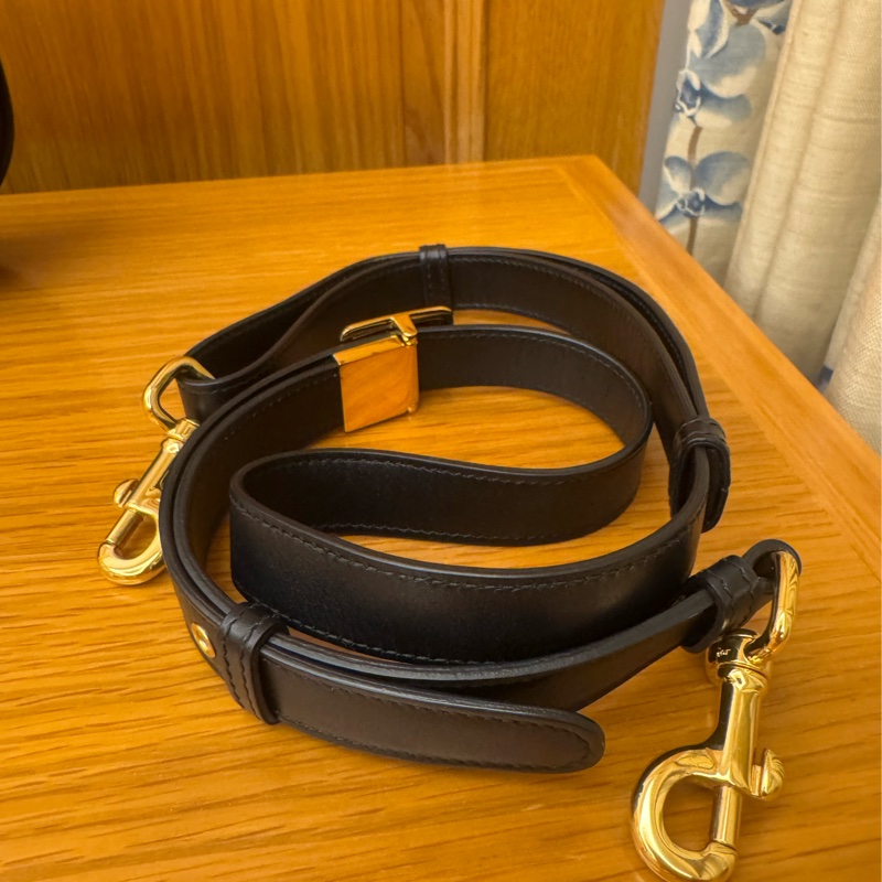 Dior Bobby 中號 黑金-1