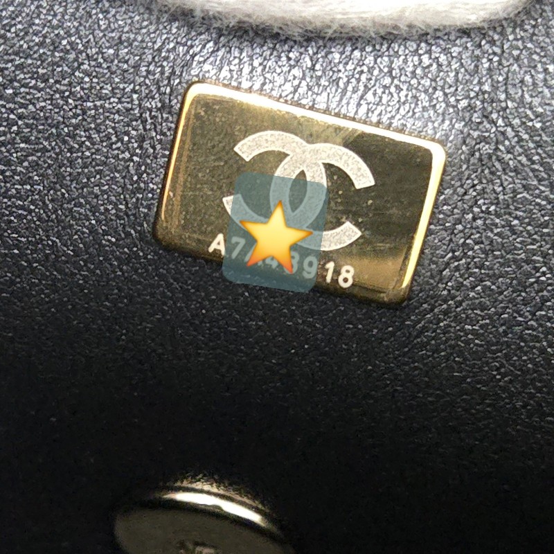 香奈兒 Chanel cf mini handle 20公分

黑金 晶片款-34