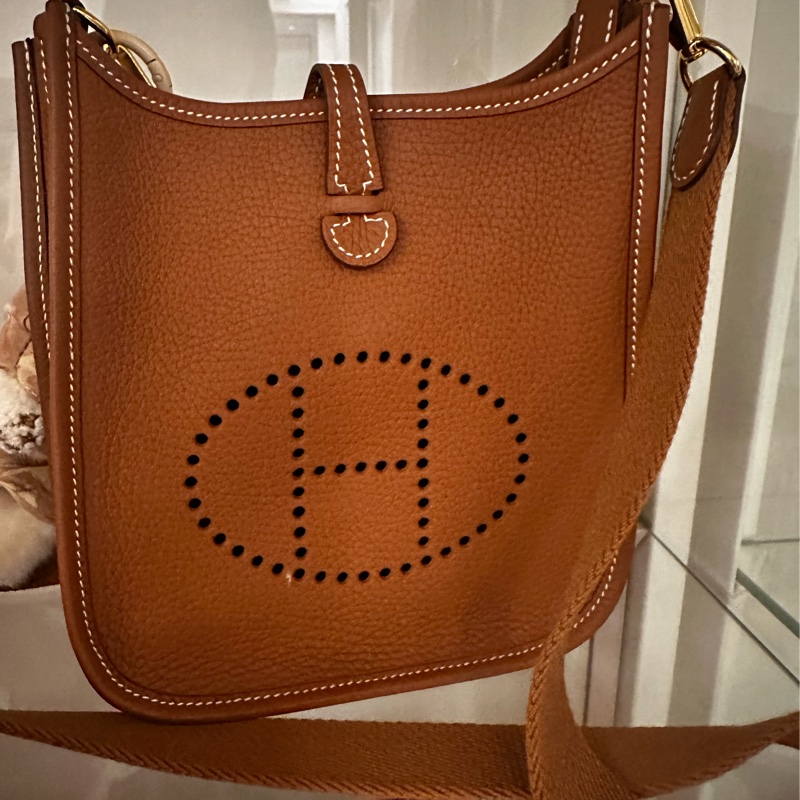 Hermès mini Evelyn 金棕金-0