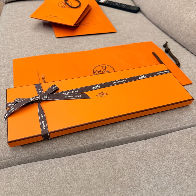 Hermes 淺藍色領帶-5
