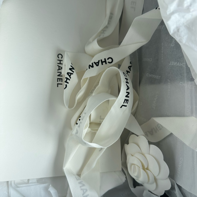 Chanel Gabrielle Hobo 熊貓流浪包 斜背包-15