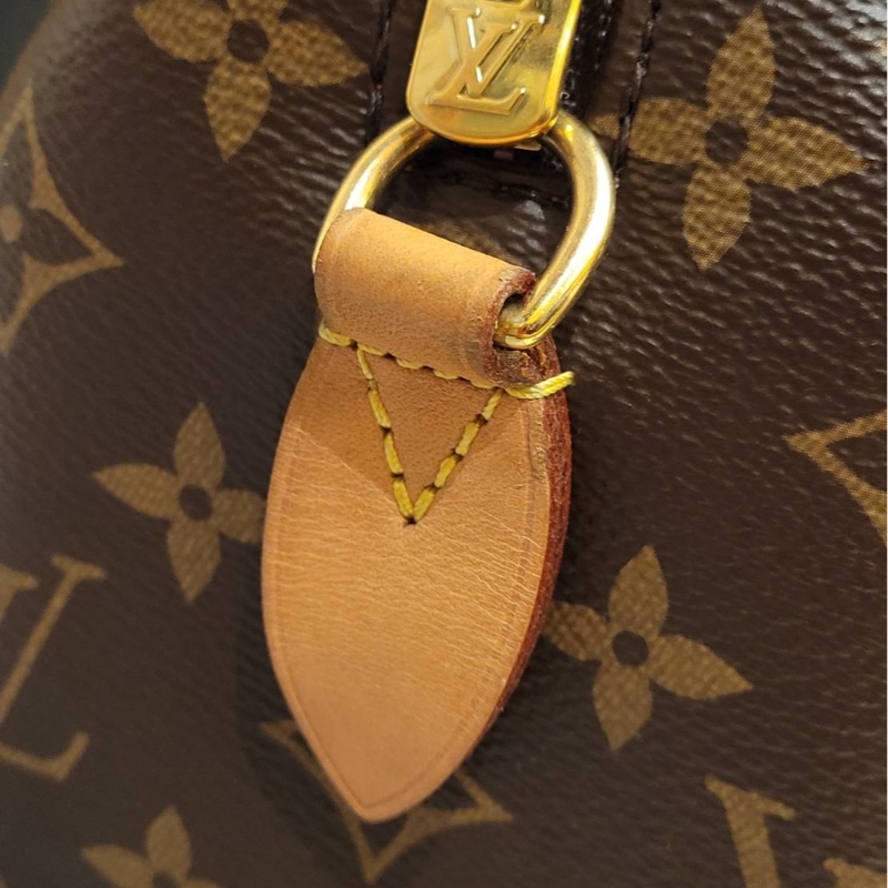 Louis Vuitton Speedy 20 老花 芯片款 有盒有套 奶茶色背帶-19