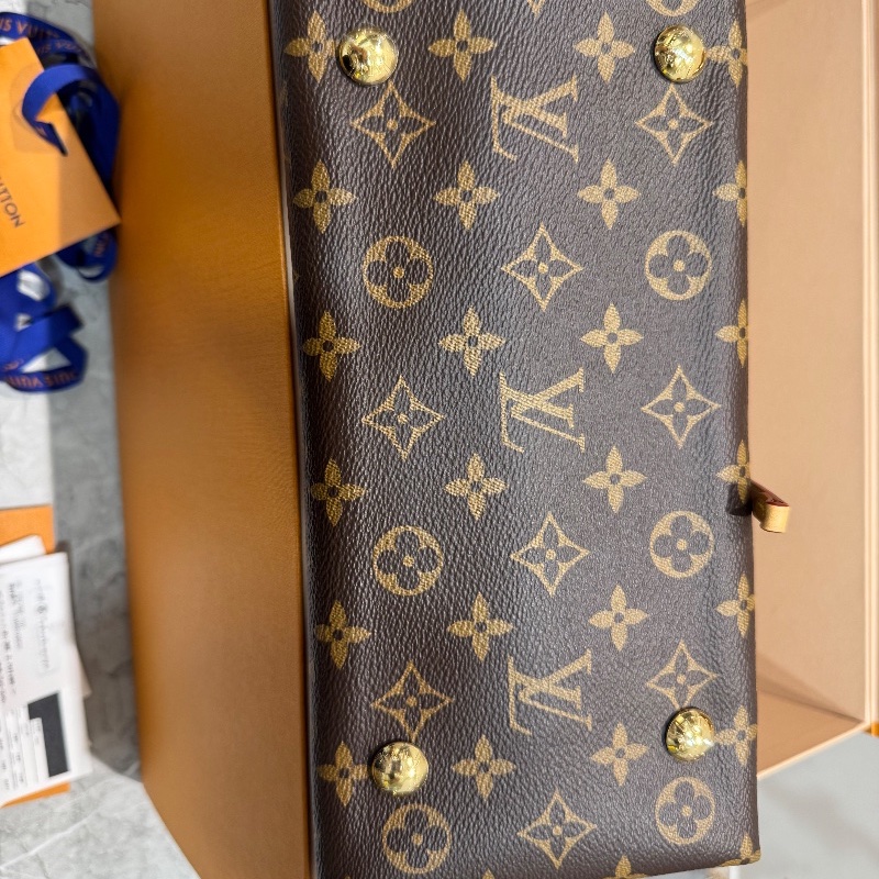 LV Louis Vuitton CarryAll PM Monogram-2