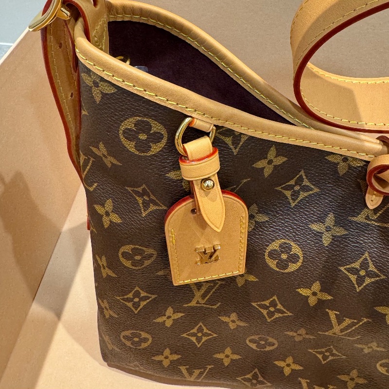 LV Louis Vuitton CarryAll PM Monogram-3