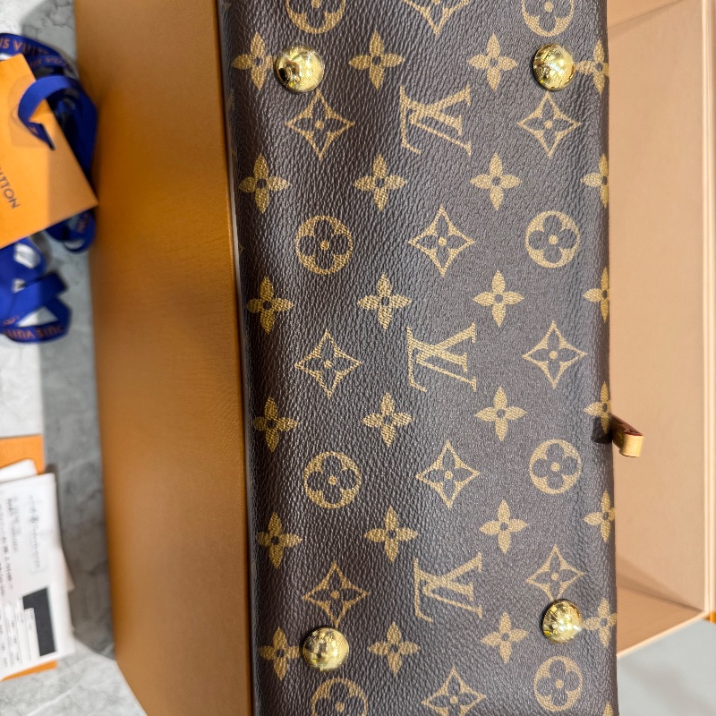 LV Louis Vuitton CarryAll PM Monogram-7