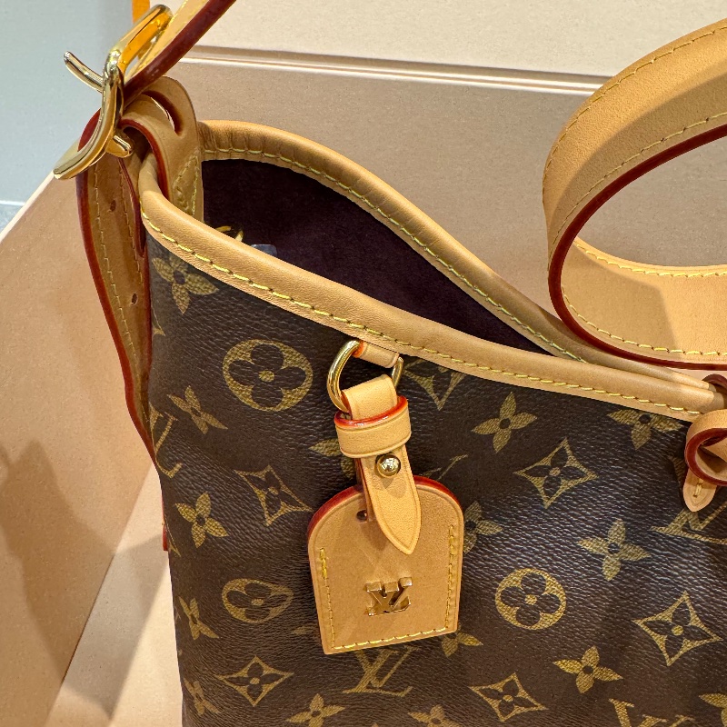 LV Louis Vuitton CarryAll PM Monogram-9