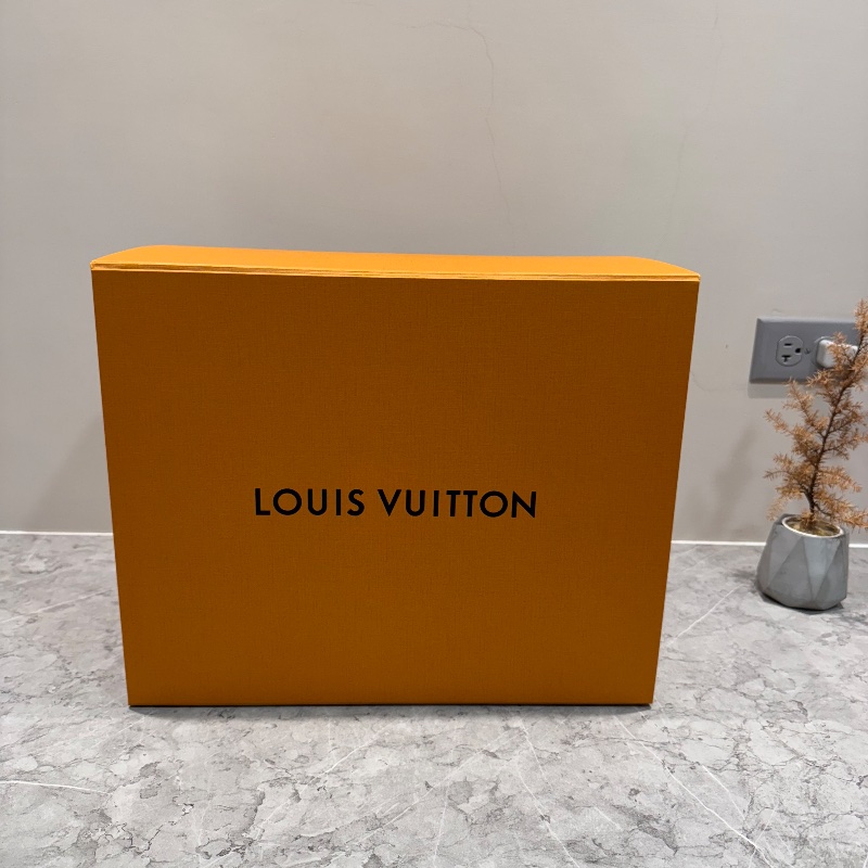 LV Louis Vuitton CarryAll PM Monogram-11