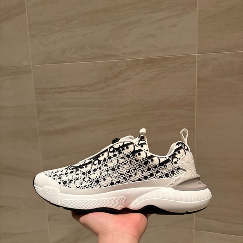 Dior B24