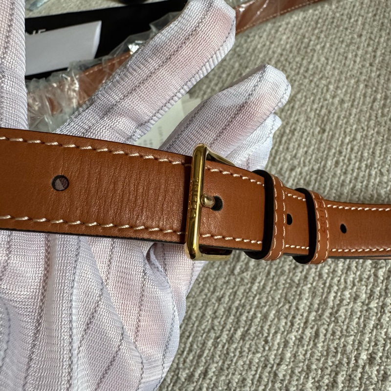 Celine Triomphe凱旋門 Teen馬鞍皮中號金棕色焦糖色美拉德色系單肩包-18