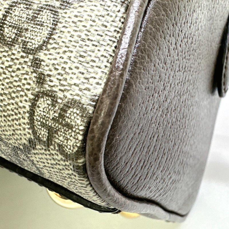 GUCCI 全新Ophidia GG中款手提包-13
