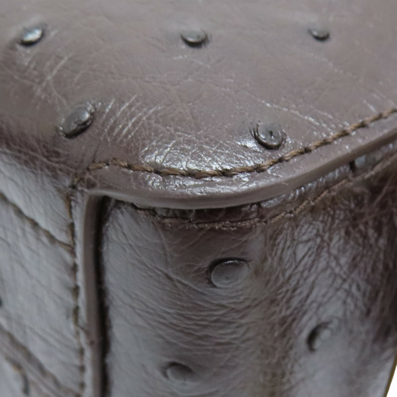 棕色 鴕鳥皮 Delvaux Cool Box 肩背包 AA0669【Delvaux德爾沃】 AA0669-11