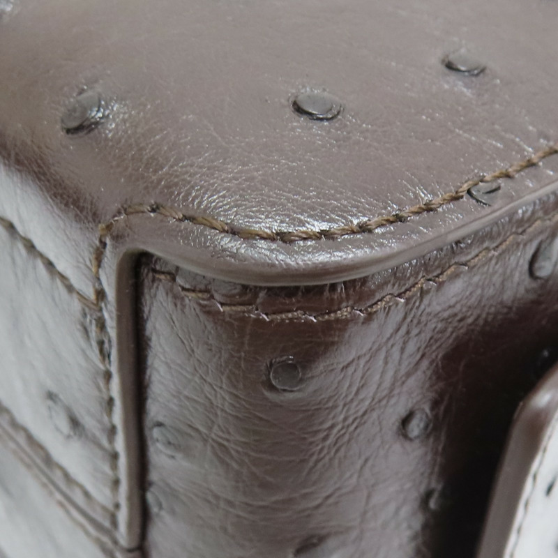 棕色 鴕鳥皮 Delvaux Cool Box 肩背包 AA0669【Delvaux德爾沃】 AA0669-13