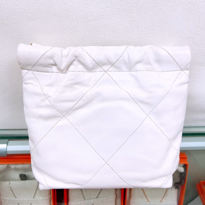 Chanel 22 mini 白金-5