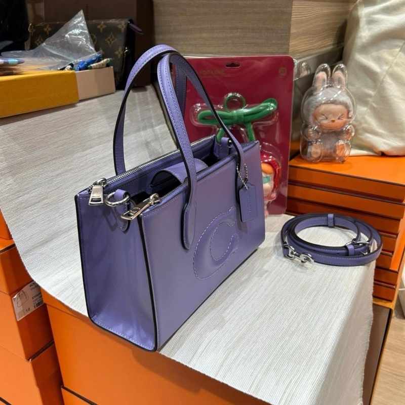 Coach Nina small tote bag 26cm-3