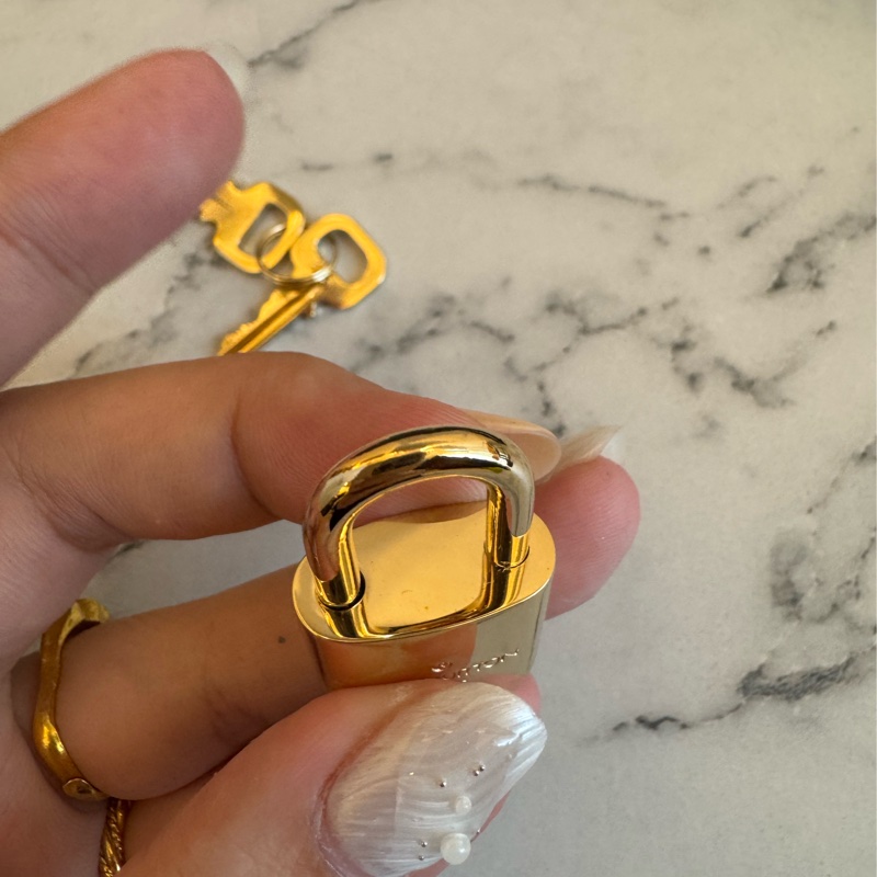 LV黑壓紋speedy30背帶款-14