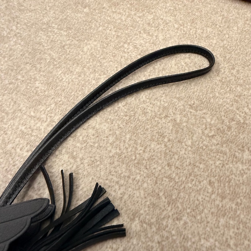 Hermes 小飛馬吊飾 Rodéo PM Pégase-5