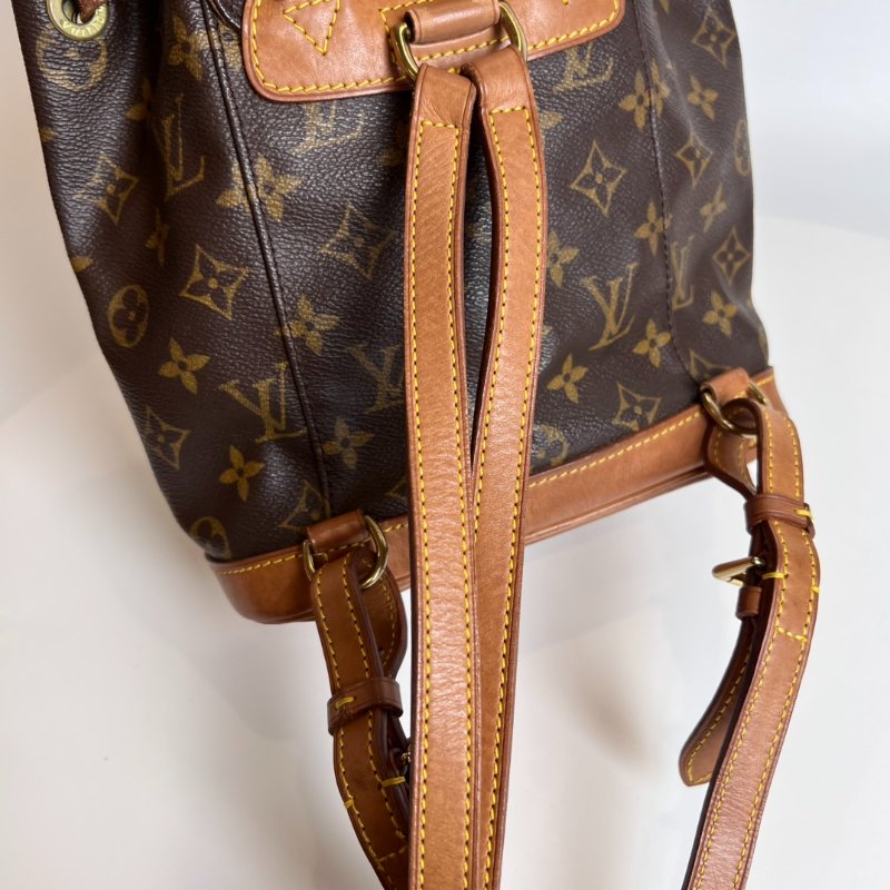 LV M51137 老花Montsouris PM 後背包-8