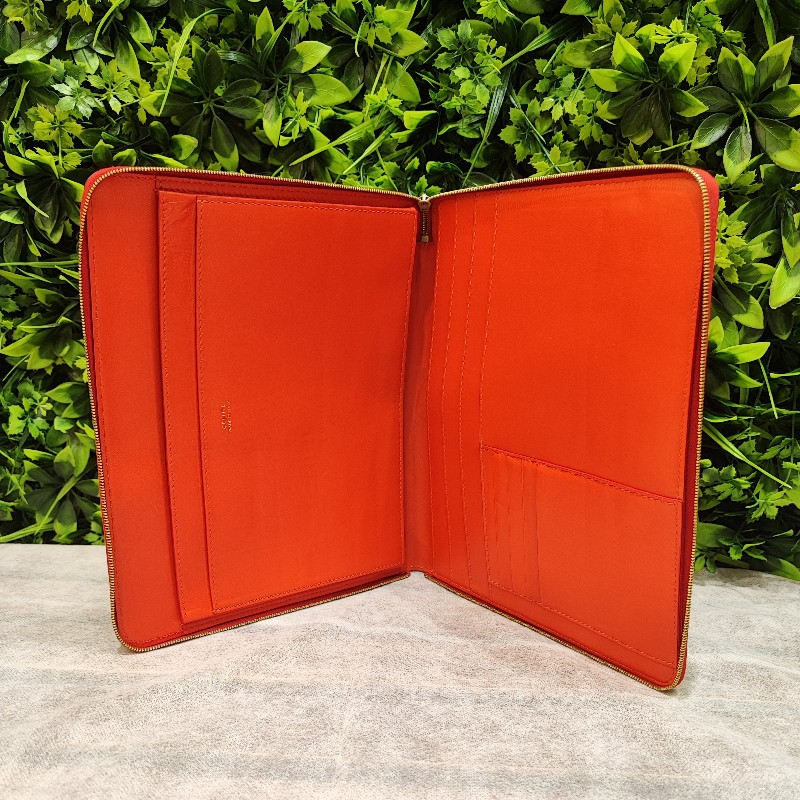 Celine Clutch-9