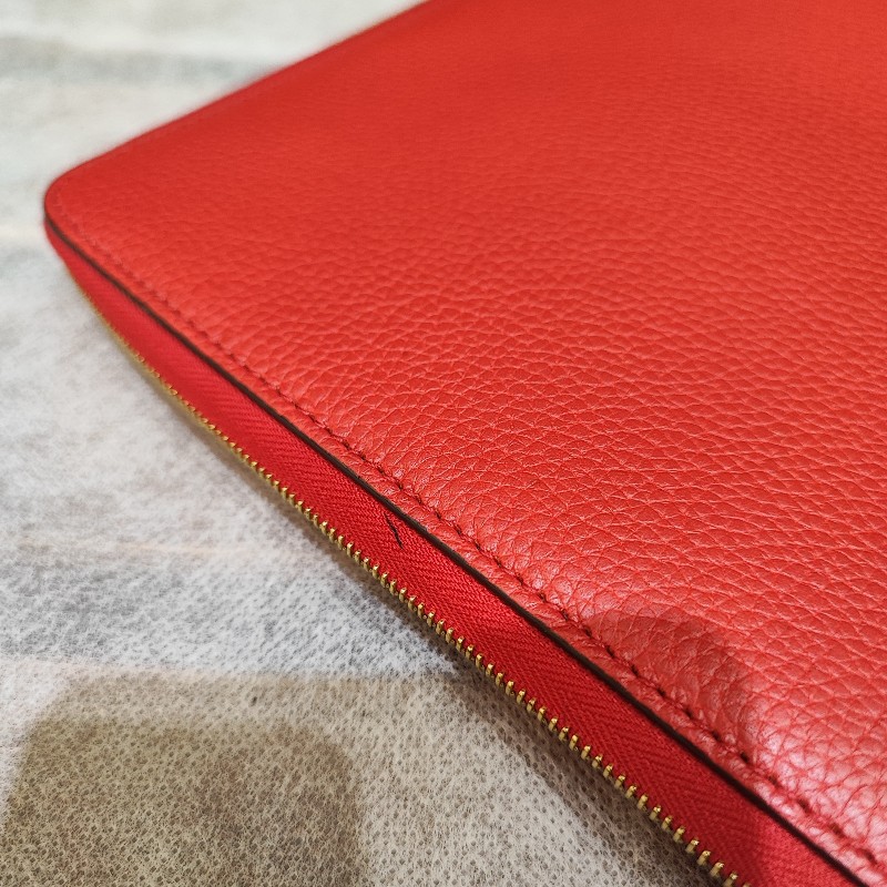 Celine Clutch-12