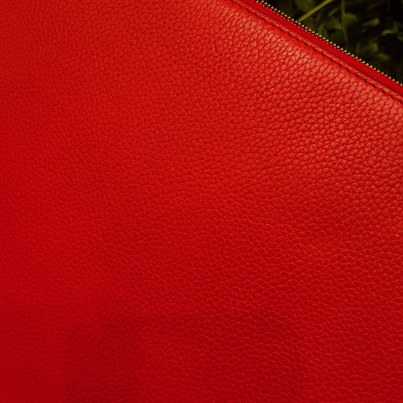 Celine Clutch-14