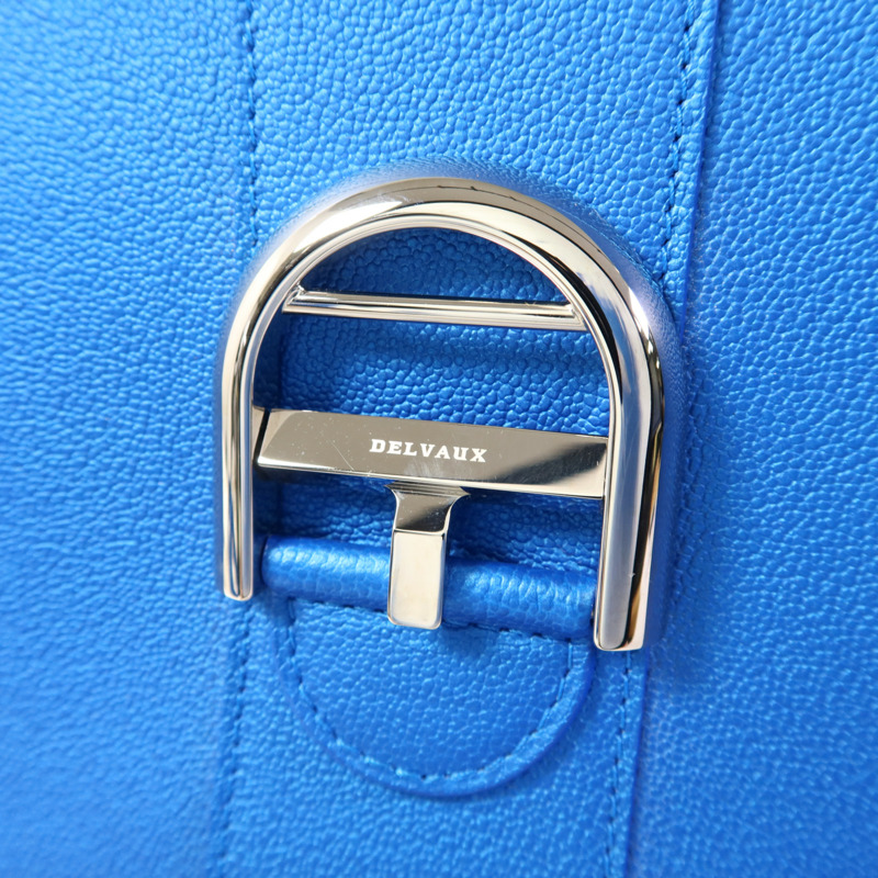 Delvaux 牛皮皮革Brillant MM銀扣手挽肩背兩用袋-10