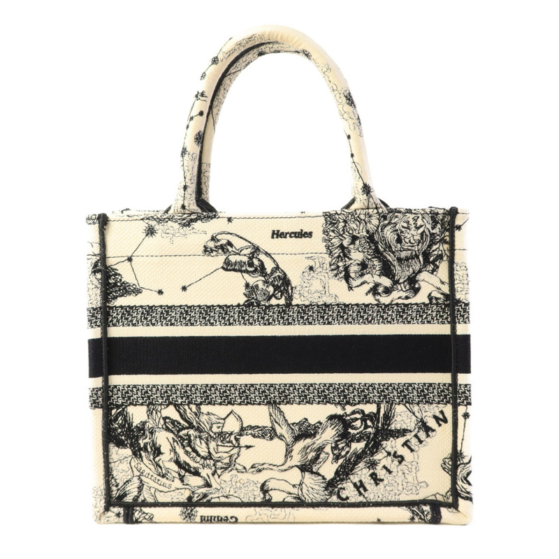 Dior 帆布Book Tote Small手挽袋-1