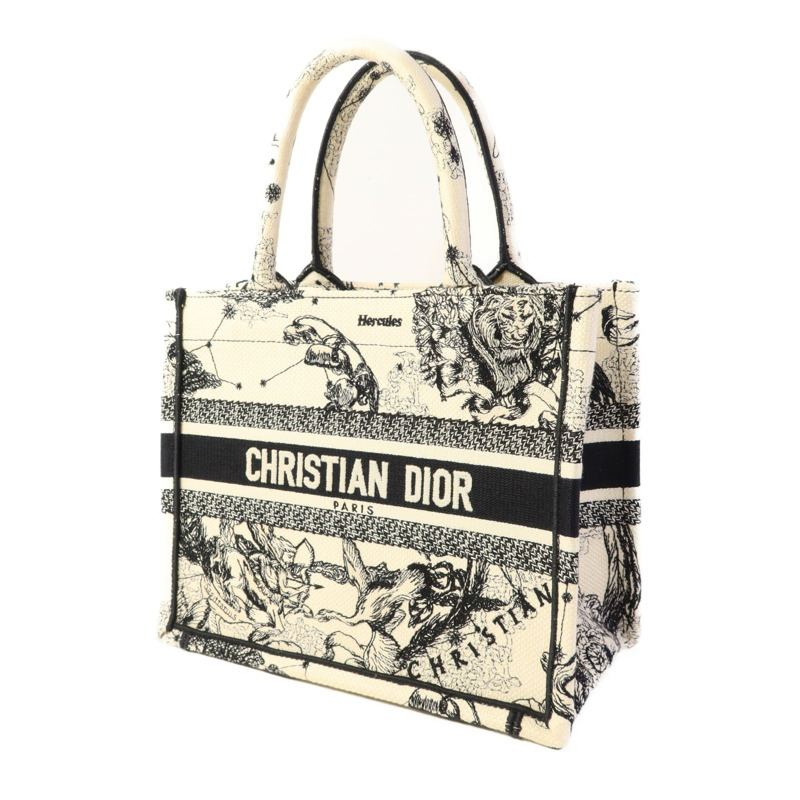 Dior 帆布Book Tote Small手挽袋-2