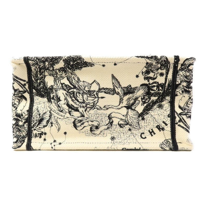 Dior 帆布Book Tote Small手挽袋-3