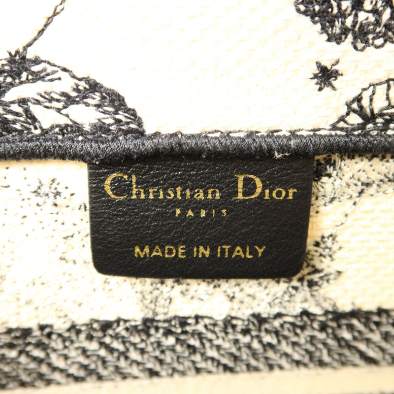 Dior 帆布Book Tote Small手挽袋-6
