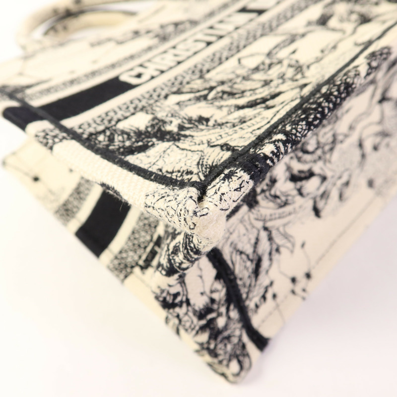 Dior 帆布Book Tote Small手挽袋-10