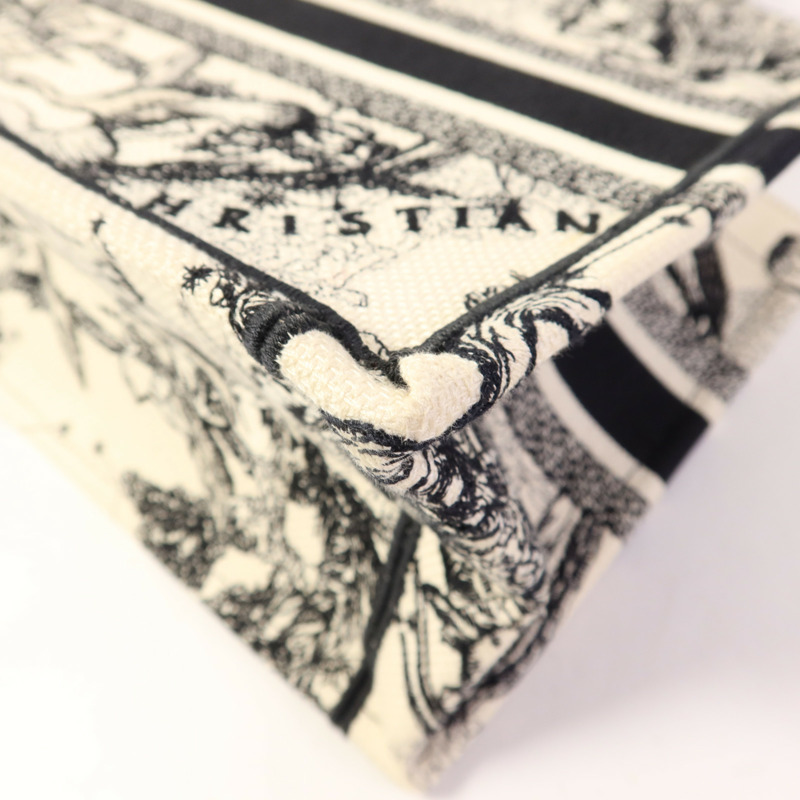 Dior 帆布Book Tote Small手挽袋-11