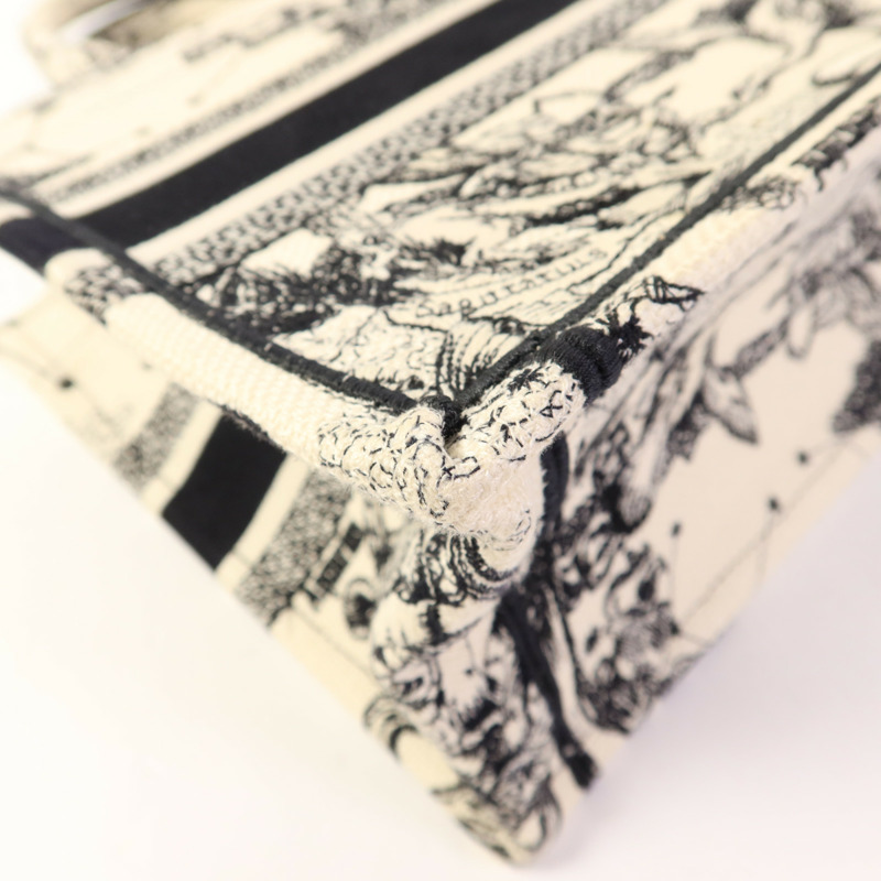 Dior 帆布Book Tote Small手挽袋-12