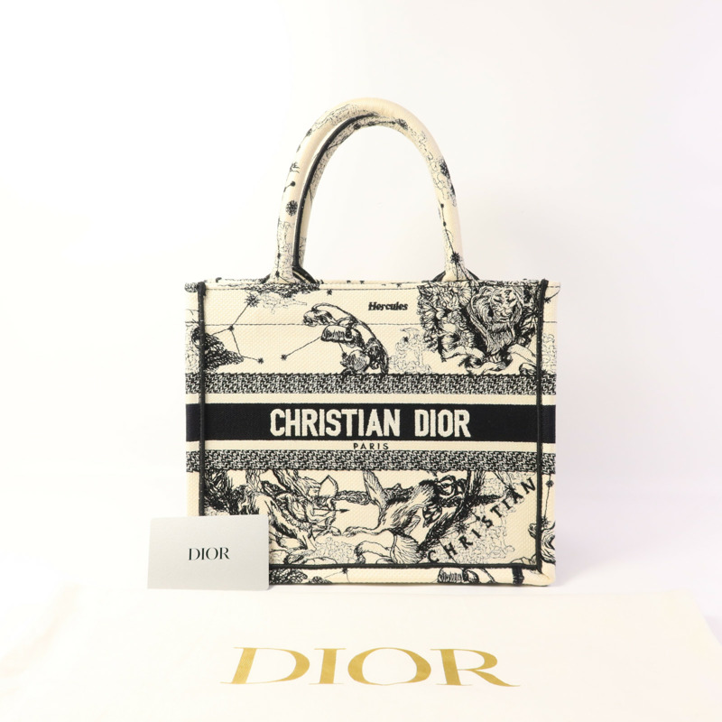 Dior 帆布Book Tote Small手挽袋-14