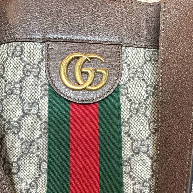 gucci 519335 OPHIDIA PVC 側揹袋-8